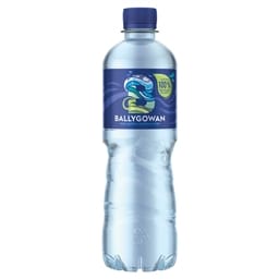 Ballygowan Still Screw Cap Water 24x500ml