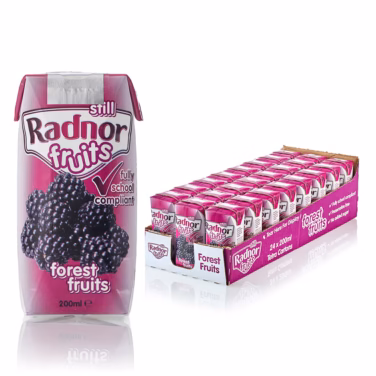 Radnor Forest Fruits Juice Carton 24x200ml