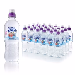 Radnor Hills Splash Forest Fruits 24x500ml