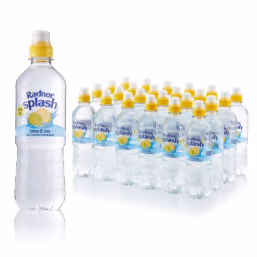 Radnor Hills Splash Lemon & Lime 24x500ml