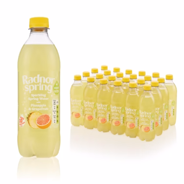 Radnor SPRING Pineapple & Grapefruit 24x500ml