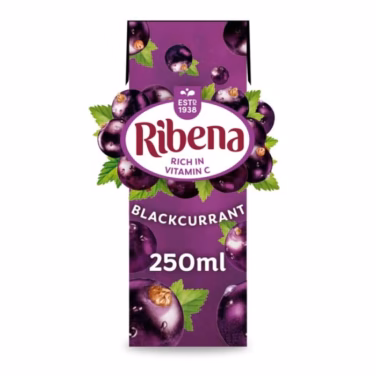 Ribena Blackcurrant Cartons 24x250ml